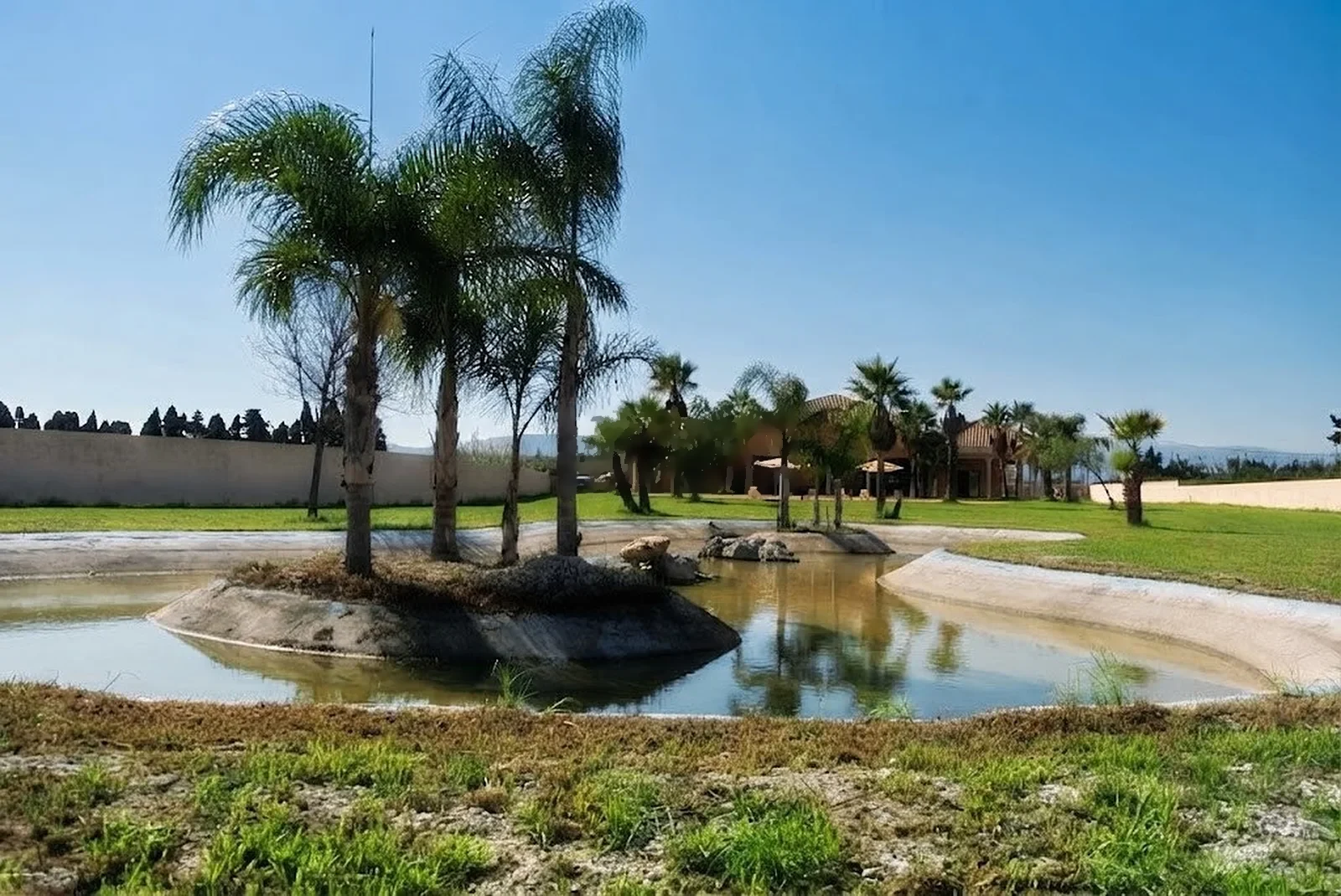 Lago del jardín con una isla de palmeras, césped alrededor y la casa al fondo