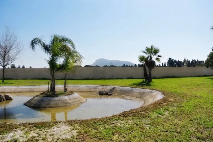 La isla de palmeras del lago, con una montaña en el horizonte